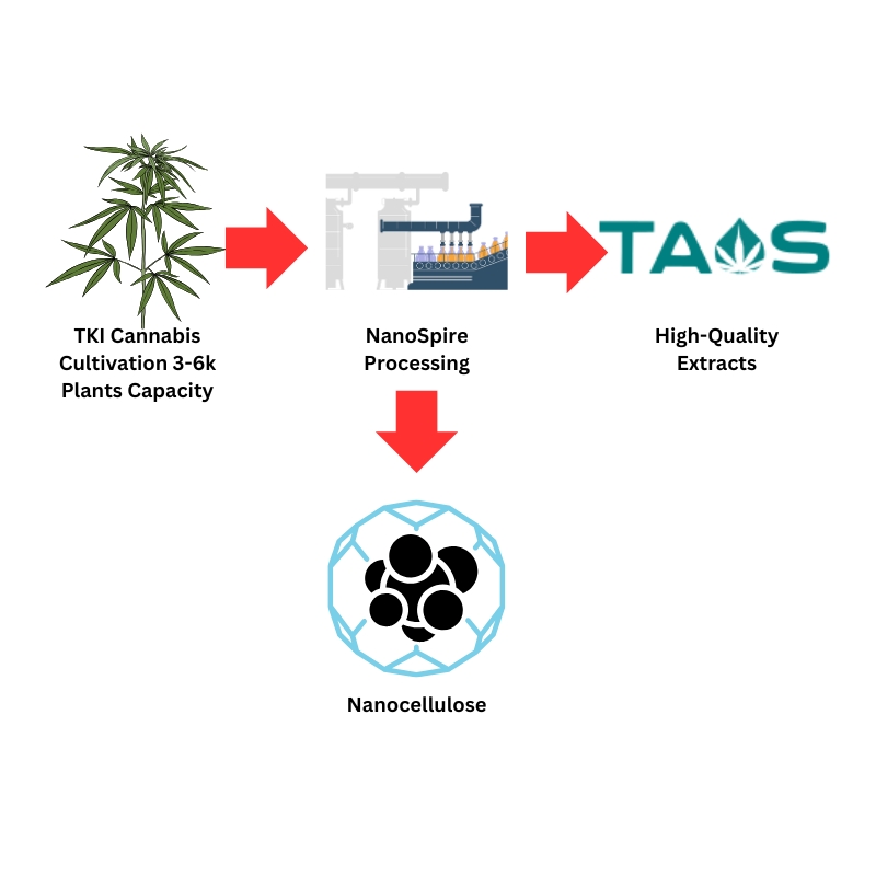 TKI Processing